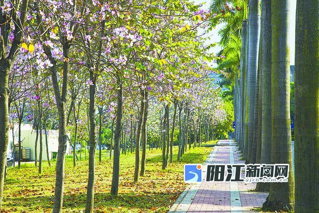 戴河庭院三期售楼处电话_地址_开盘_物业费-秦皇岛搜狐焦点网