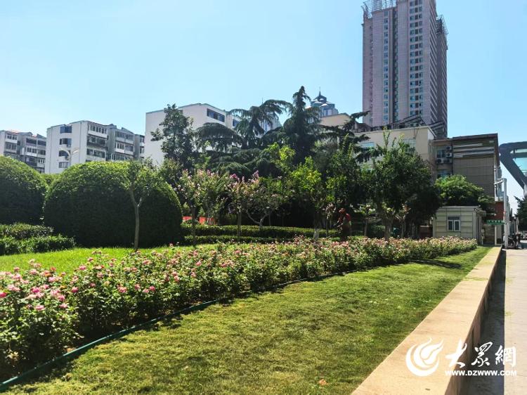 烟台市园林建设养护中心精细化打造浪漫景观