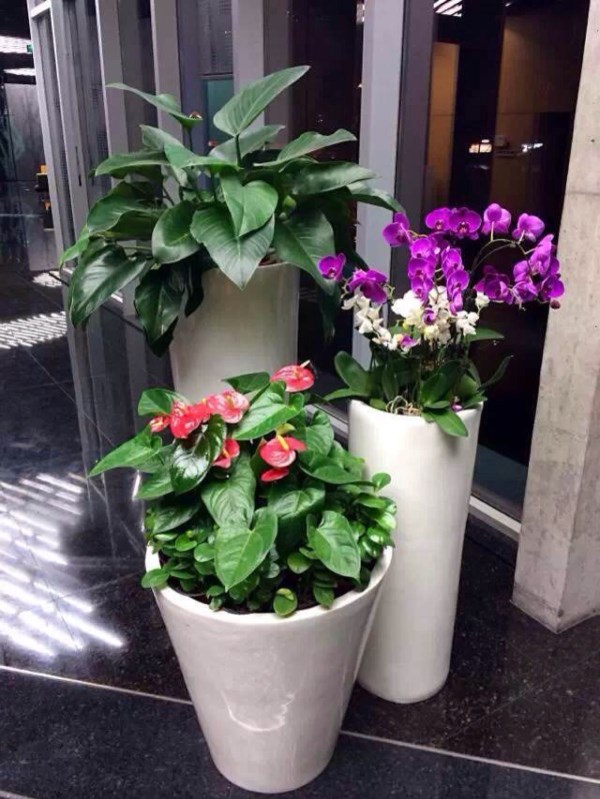 吉卉繁花商贸中心